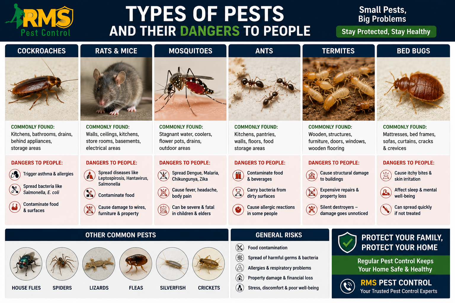 Pest Control Services Chennai - RMS Pest Control Service - Types of pest and its causes